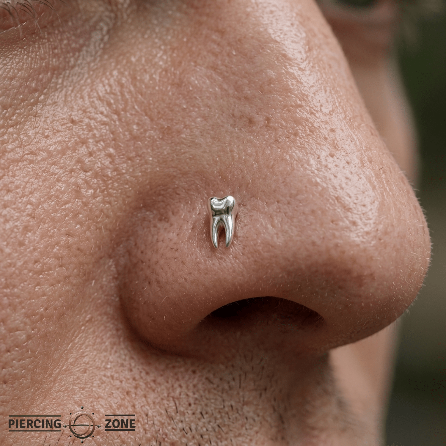 Wisdom – 14K Gold Molar Tooth Threadless End - piercing - zone.com