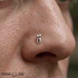 Wisdom – 14K Gold Molar Tooth Threadless End - piercing - zone.com