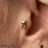 Wisdom – 14K Gold Molar Tooth Threadless End - piercing - zone.com