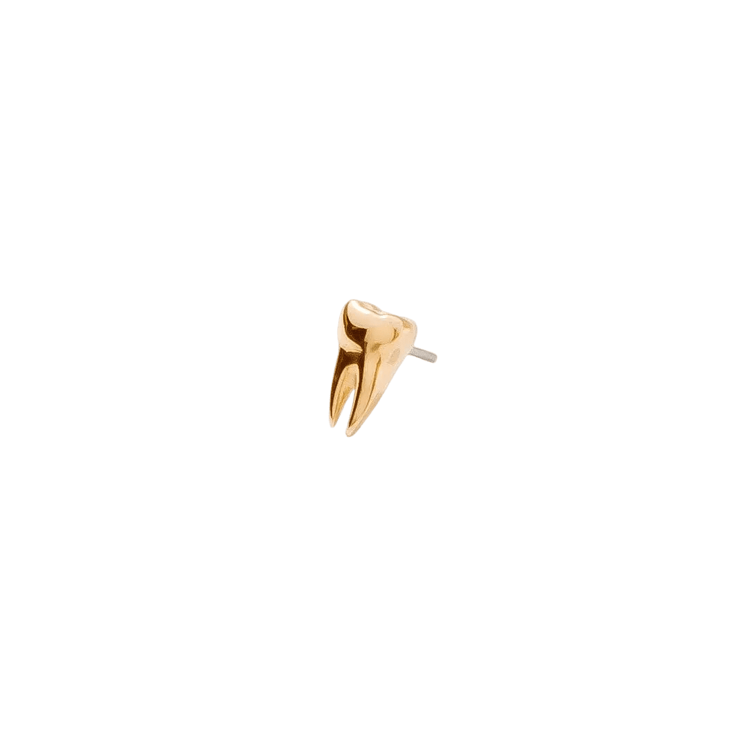 Wisdom Pin - 14K Gold Tooth Threadless End - piercing - zone.com