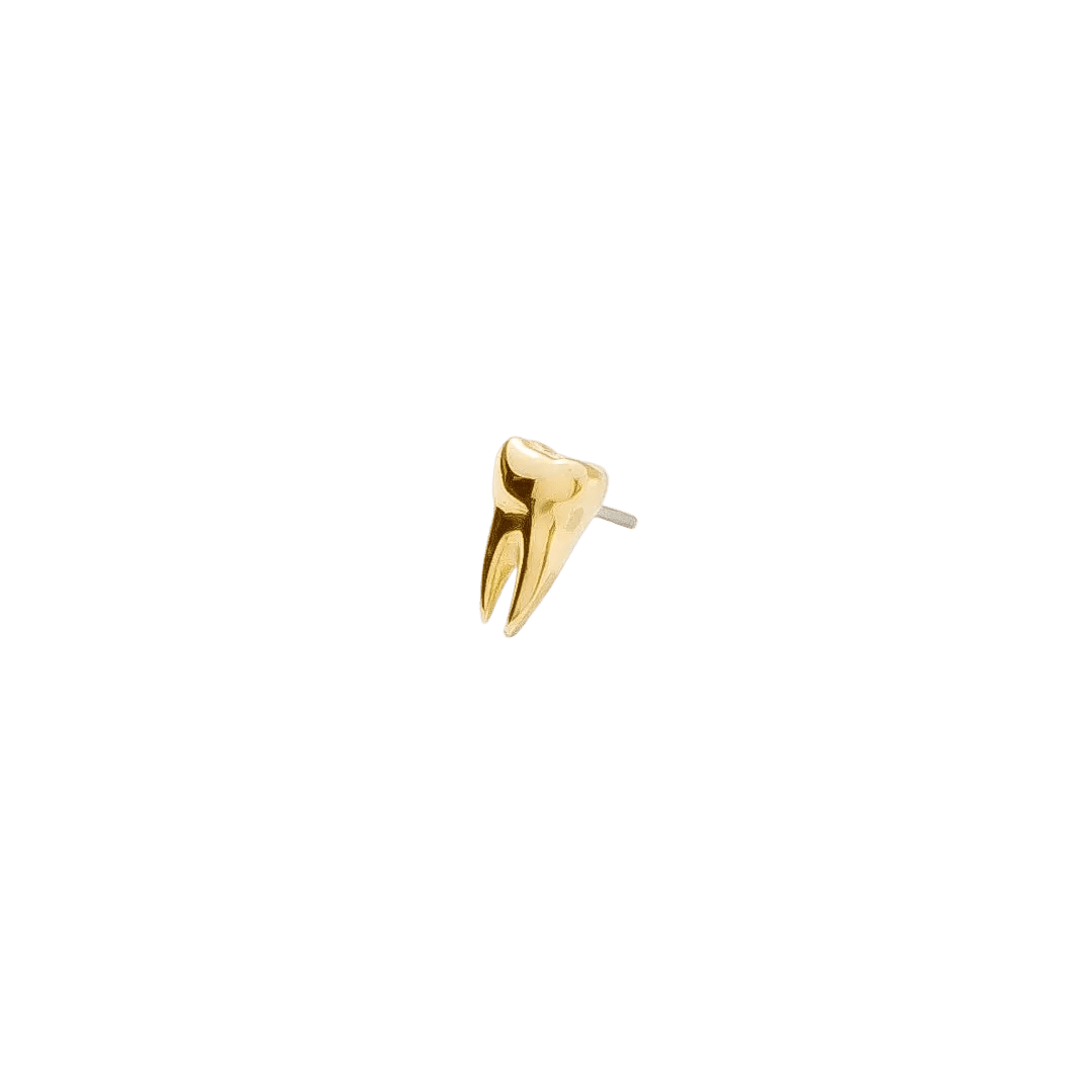 Wisdom Pin - 14K Gold Tooth Threadless End - piercing - zone.com