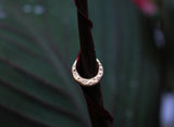 Wishful Thinking – CZ Star Cluster – 14K Gold Clicker Ring - piercing - zone.com