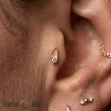 Xiphos - 18K Gold Gem Threadless/Threaded End - piercing-zone.com