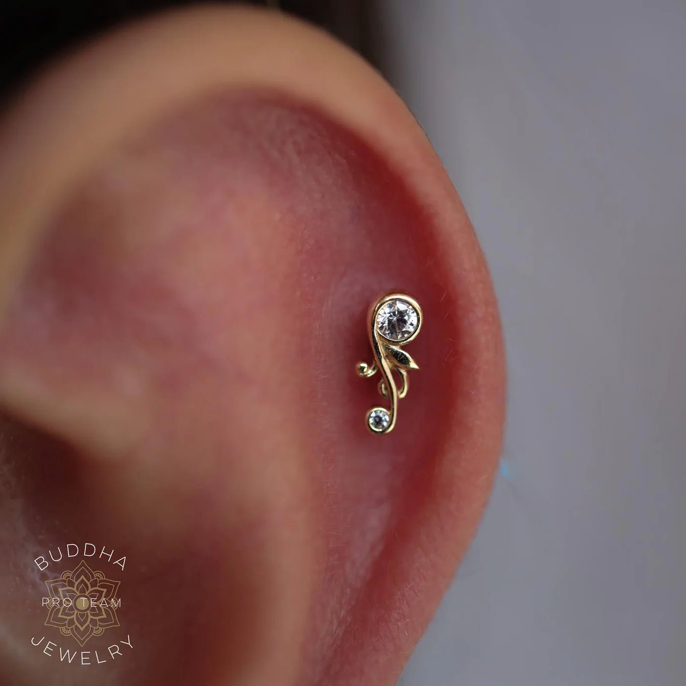 Paragon CZ Leaf-Inspired Threadless End – 14K Gold