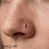 Zuri – Grey Diamond Marquise – 14K Gold Threadless End - piercing - zone.com