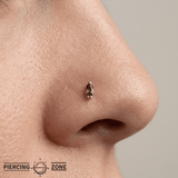 Zuri – Smoky Quartz Marquise – 14K Gold Threadless End - piercing - zone.com